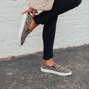 Soda The Hadley sneaker in Leopard